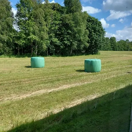 Lovely Room, Easy Access To E45 Highway *