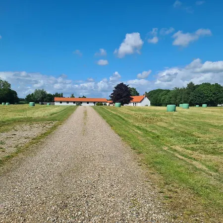 Lejlighed Lovely Room, Easy Access To E45 Highway Rask Molle